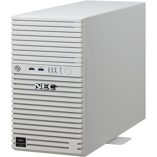 e-TREND｜NEC NP8100-3026YP5Y [T110m Xeon 4C/16G/2TB*2/R1/W22]