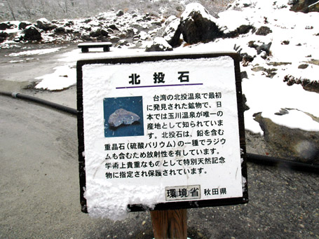 北投石ってどういう石？玉川温泉の北投石についてご紹介します。