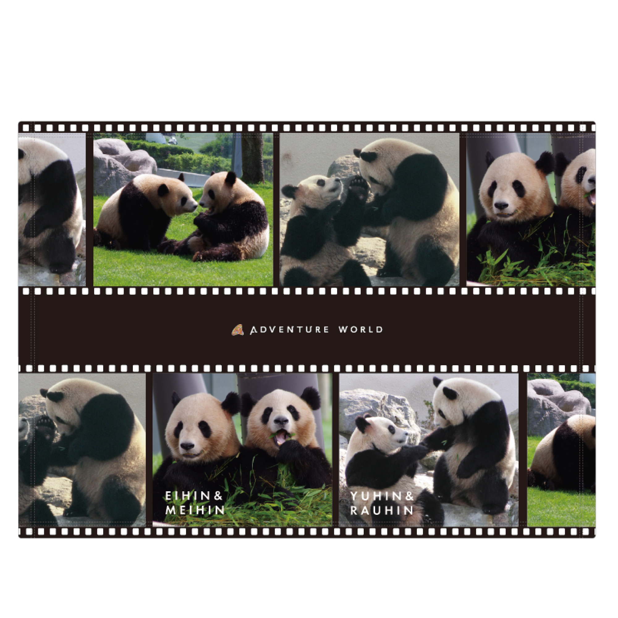 アドベンチャーワールド公式Panda Journey～しあわせの足あと