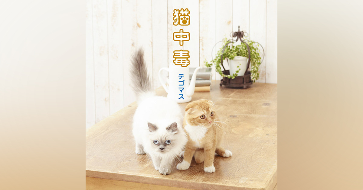 猫中毒｜NEWS｜ELOV-Label