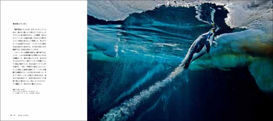 ザ・ワイルドライフ・フォト Wildlife Photographer of the Year 10人