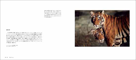 ザ・ワイルドライフ・フォト Wildlife Photographer of the Year 10人