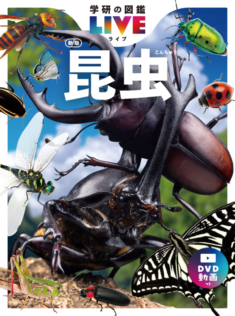 学研の図鑑LIVE 昆虫 新版』制作過程で新種発見!「ガッケンホソカワ