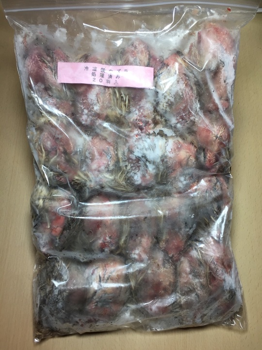 冷凍親ウズラ処理済み - esa屋 - 猛禽類・爬虫類・肉食魚の餌用国産