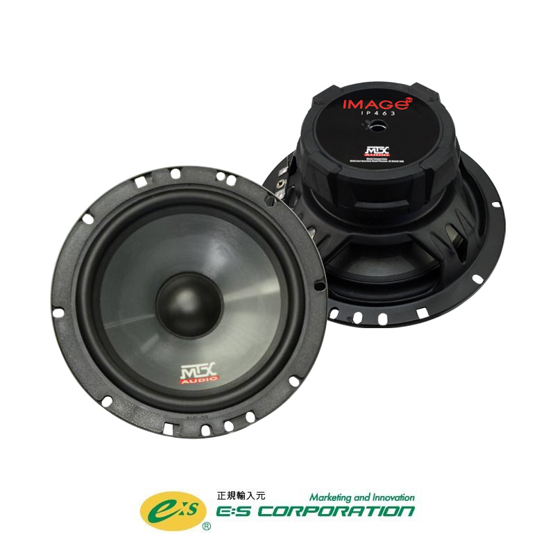 IP463 – E:S CORPORATION