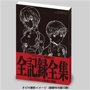 ヱヴァンゲリヲン新劇場版：破 全記録全集 ビジュアルストーリー版
