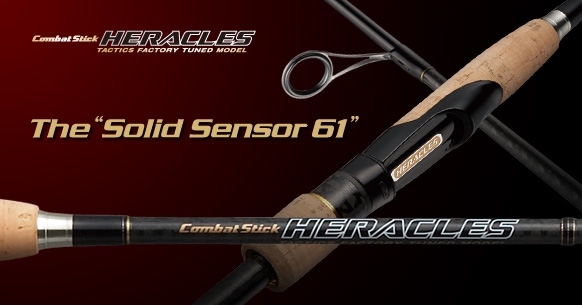 EVERGREEN（エバーグリーン インターナショナル） - HCSS-61ULST