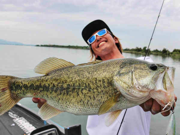 EVERGREEN（エバーグリーン インターナショナル） – フェイズ PCSC