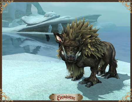 Age of Discovery Collector's Edition Items | EverQuest II