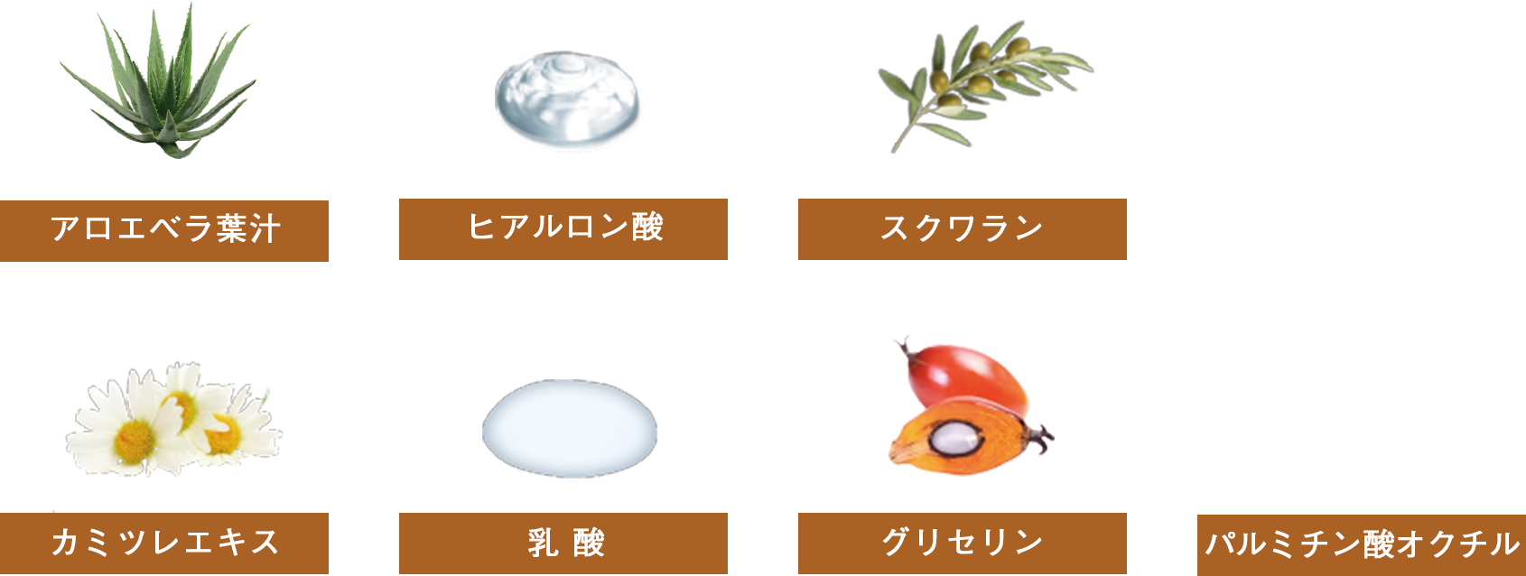 モイスチャライザー｜商品情報｜株式会社エリナ