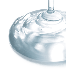 GWSエッセンス｜商品情報｜株式会社エリナ