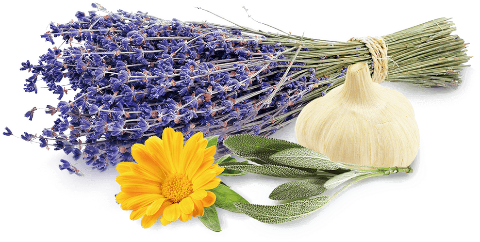 トーナー&フレッシュナー｜商品情報｜株式会社エリナ