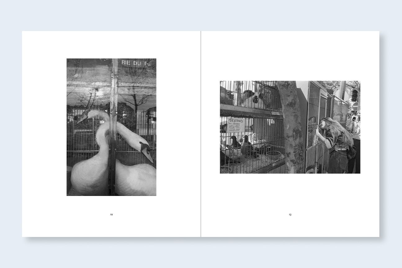 Mark Steinmetz: France 1987 - Exibart Street