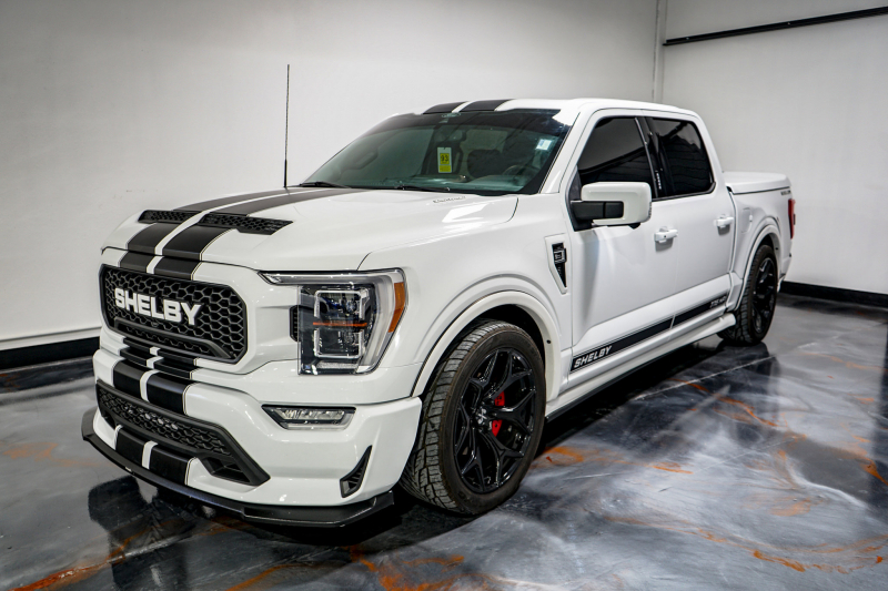 フォード F-150 シェルビースーパースネーク 情報 | スーパーカー 中古