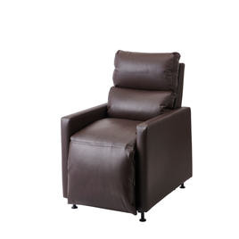 ラウンジチェアDX PRO（スノーホワイト）【リクライニング角度固定