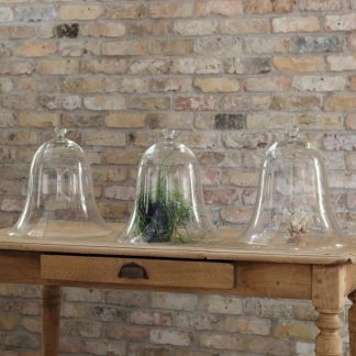 フランス アンティーク ガラスドーム – フランス、ヨーロッパの