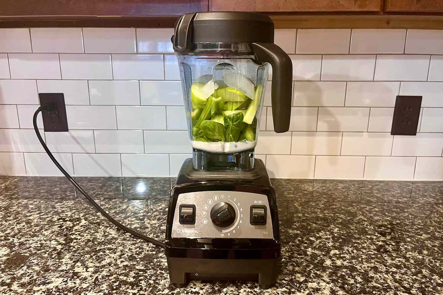 Our Vitamix Propel Series 750 Tested Review