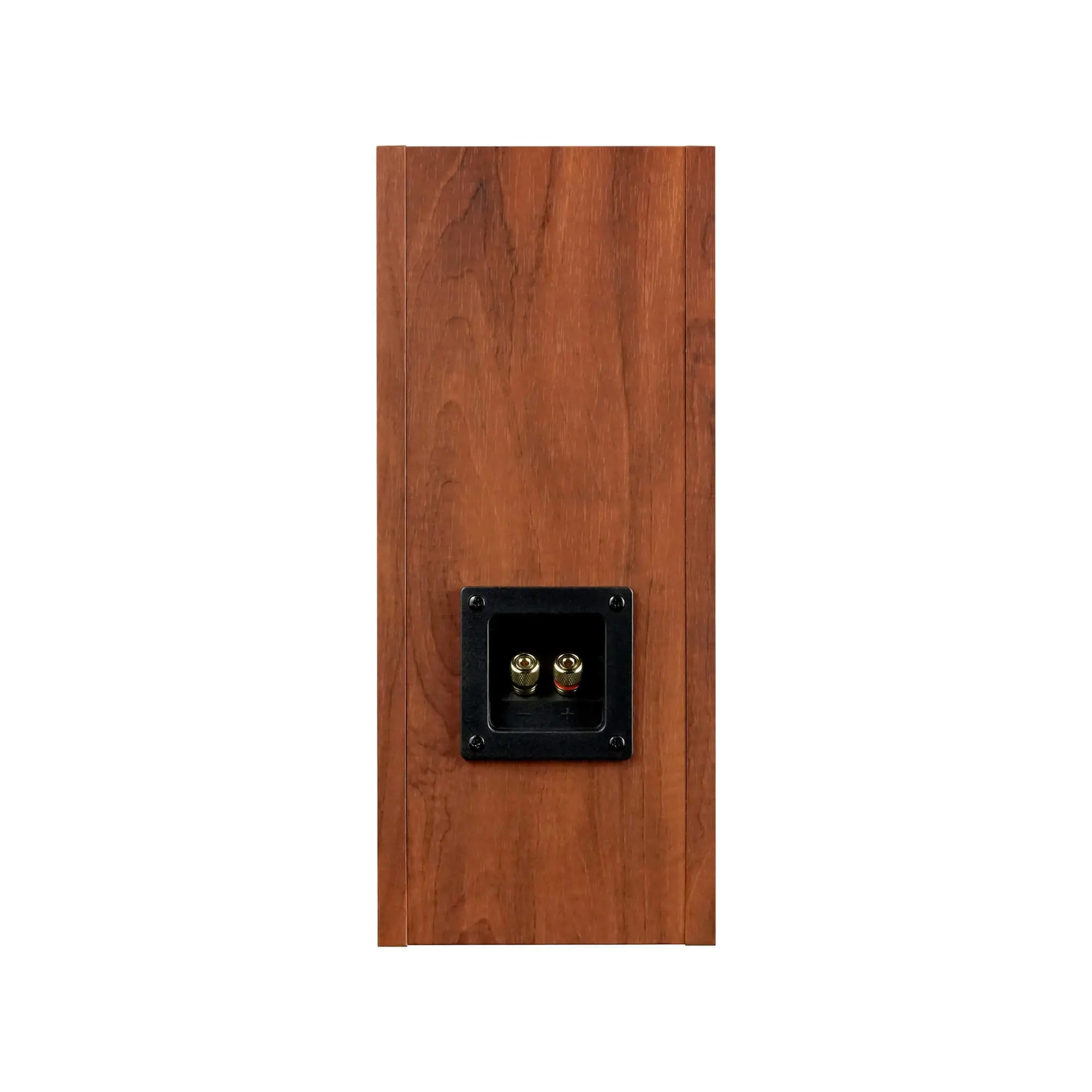 P1000-BH | Fostex(フォステクス)Fostex(フォステクス)