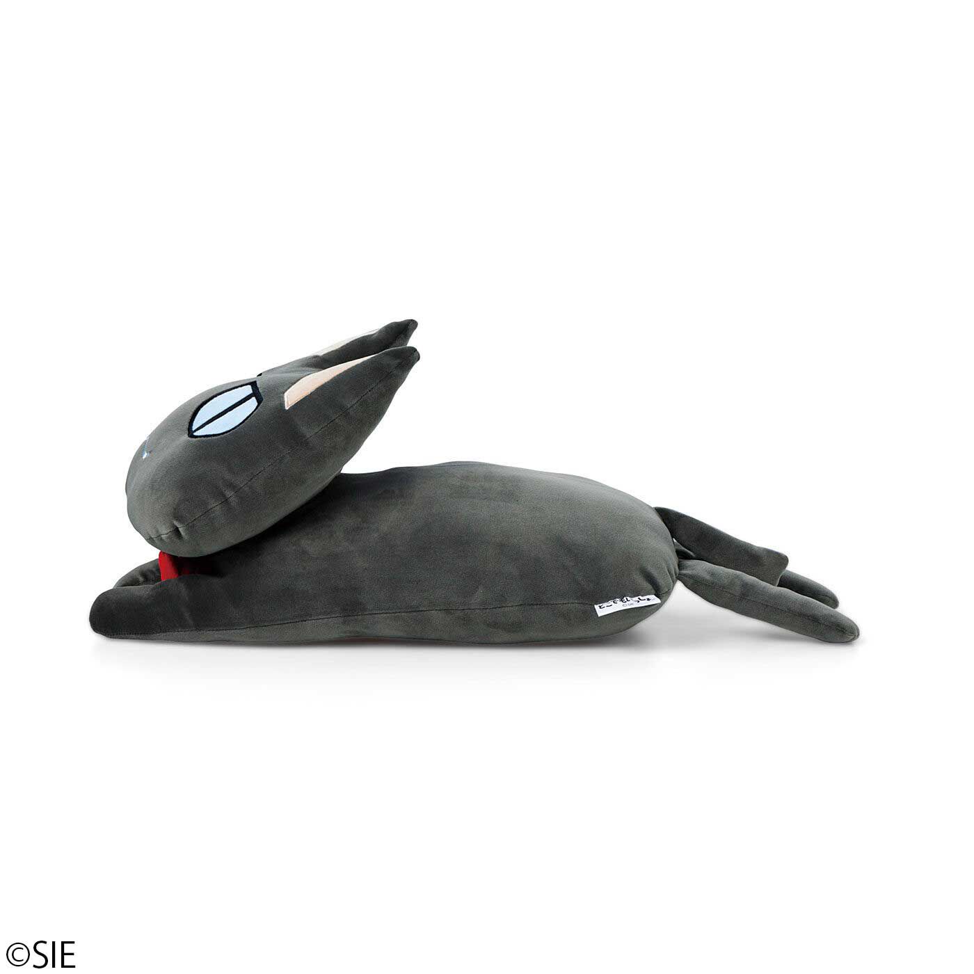 どこでもいっしょ×猫部 トロたちのもちもちクッションの会｜猫部