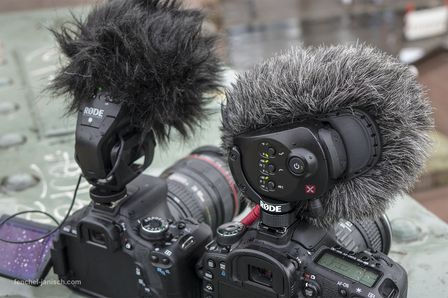 Review RØDE Stereo VideoMic X ⎜