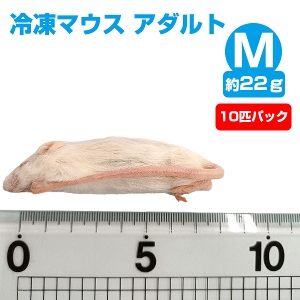 冷凍】 冷凍マウス アダルトMサイズ（約22g）10匹パック（T2）【クール