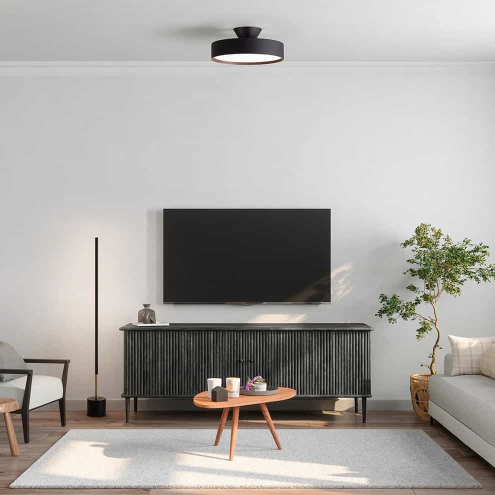 AW-0556E(BK/LW) アートワークスタジオ製シーリングライト