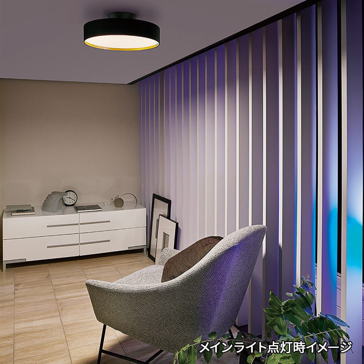 AW-0555E(WH/LW) アートワークスタジオ製シーリングライト