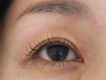 FACE TOO color│当店のまつげパーマのメニュー