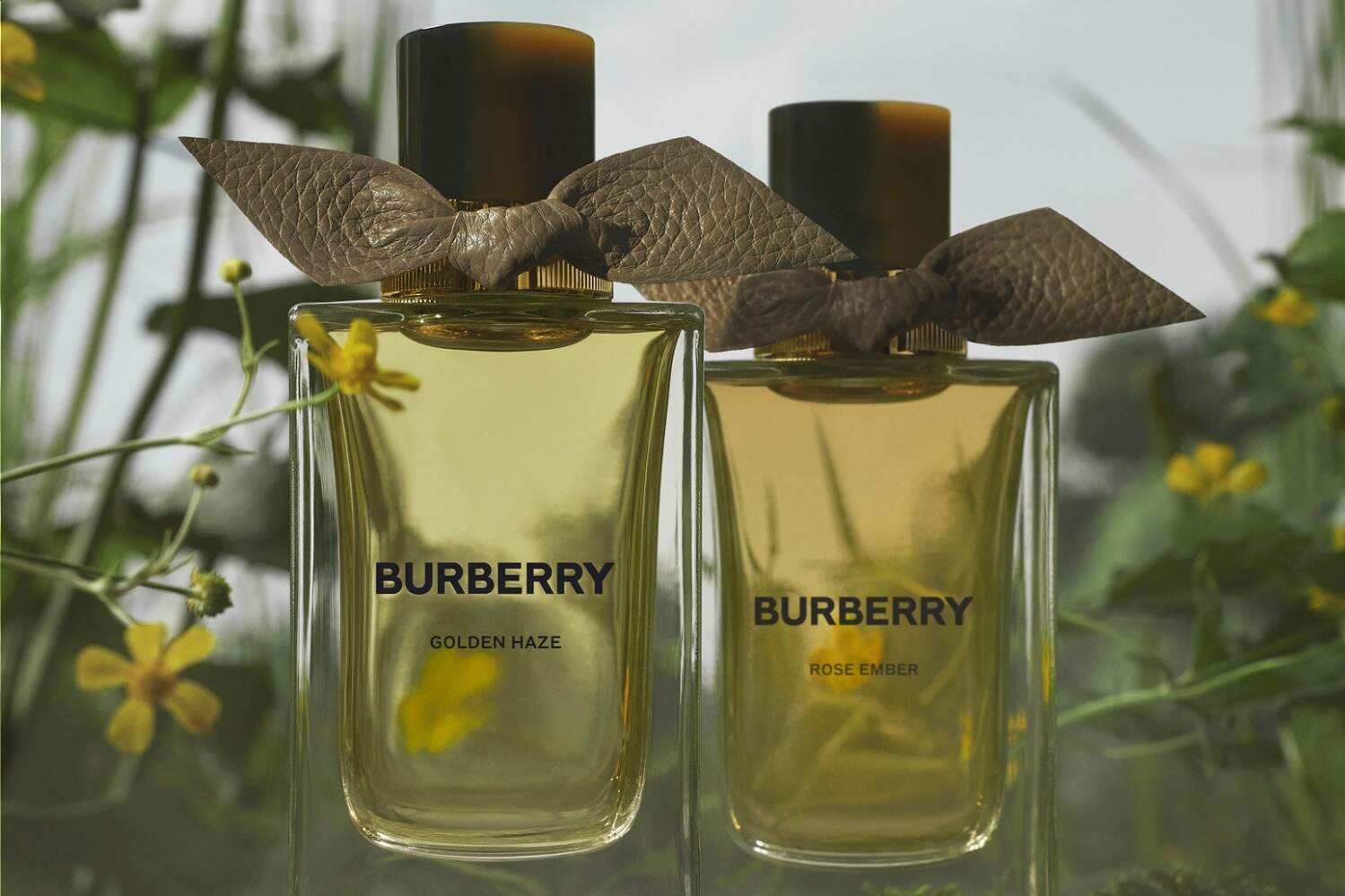 バーバリー シグネチャー」25年秋フレグランス、砂漠の薔薇＆朝の光