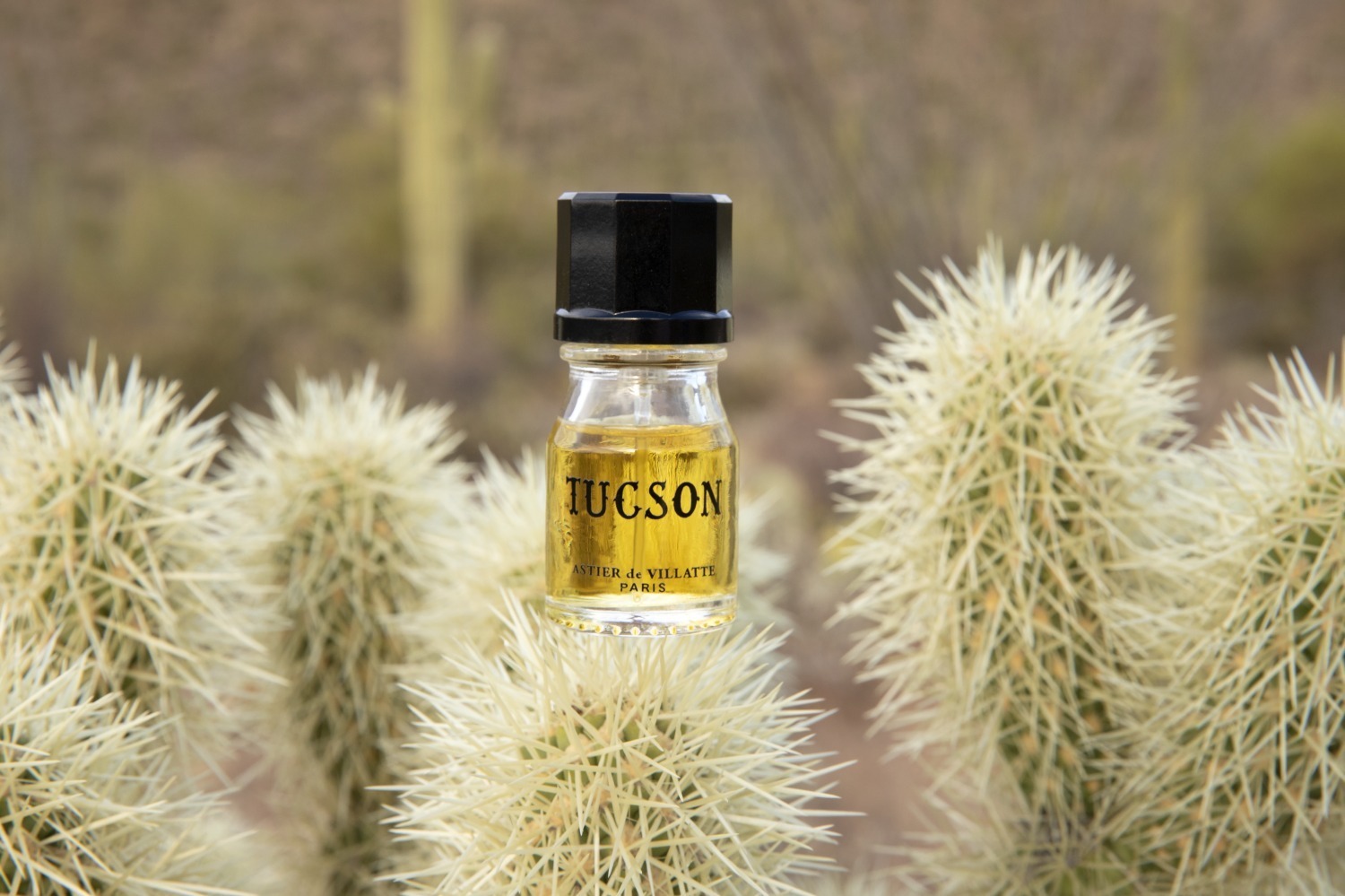 アスティエ・ド・ヴィラット“ブランド初”の香水「ツーソン」砂漠を思わ