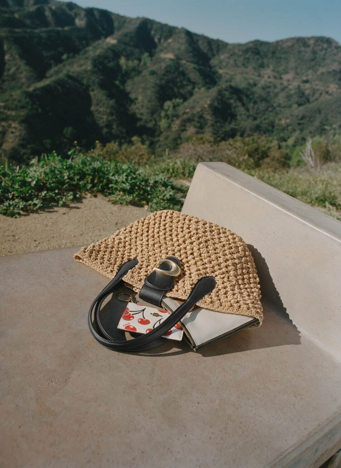 コーチの新作カゴバッグ、苺の刺繍を施したシャンブレートートや