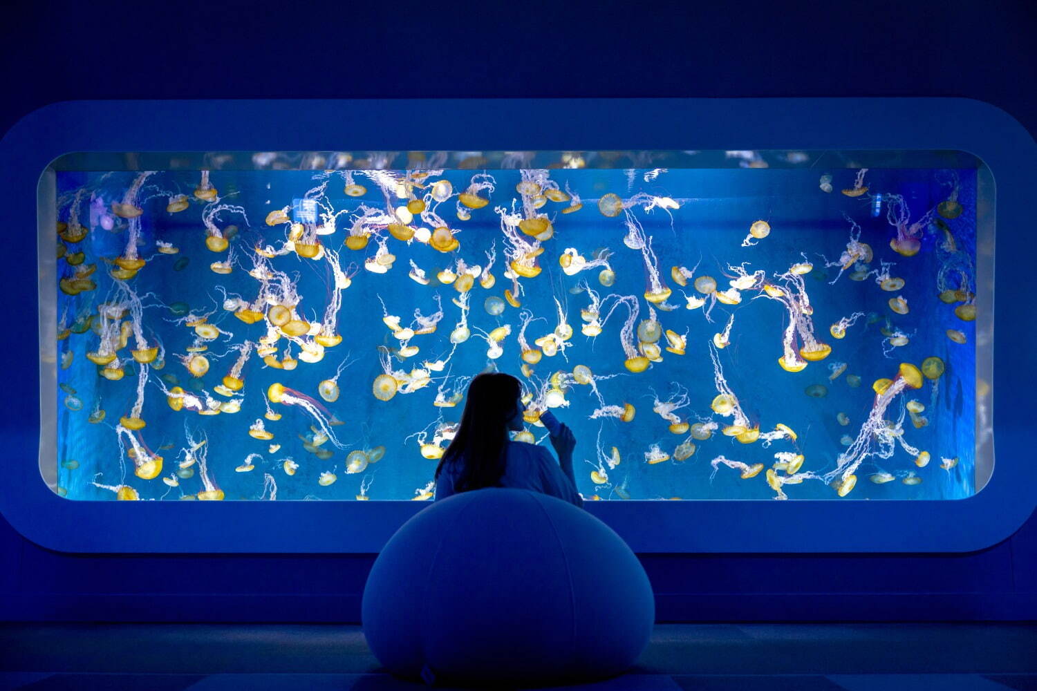 inuinu様 ①②シーグラスアート 水族館 アクアリウム inuinu様 ①②