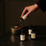 イソップのルームフレグランス「オイルバーナーブレンド」24年新作