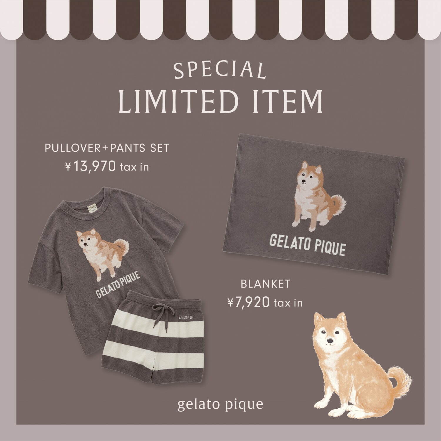 写真10/13｜ジェラート ピケ「柴犬」モチーフのルームウェア