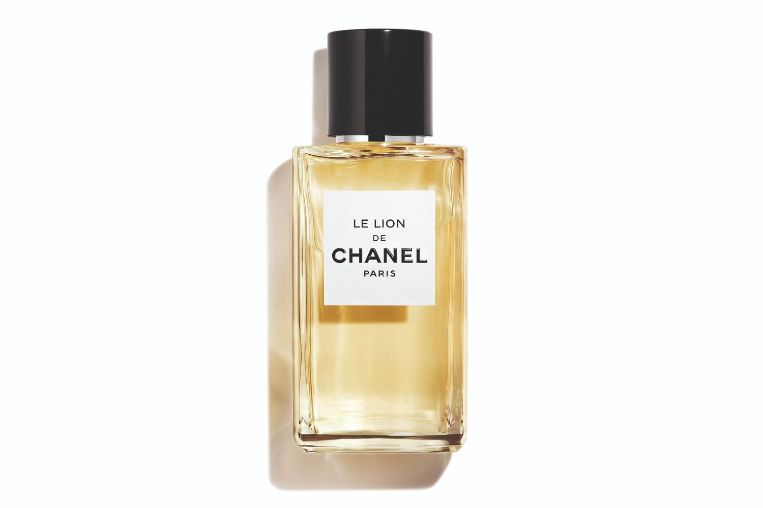 シャネルの幸運モチーフ“ライオン”着想の新作フレグランス、力強くも