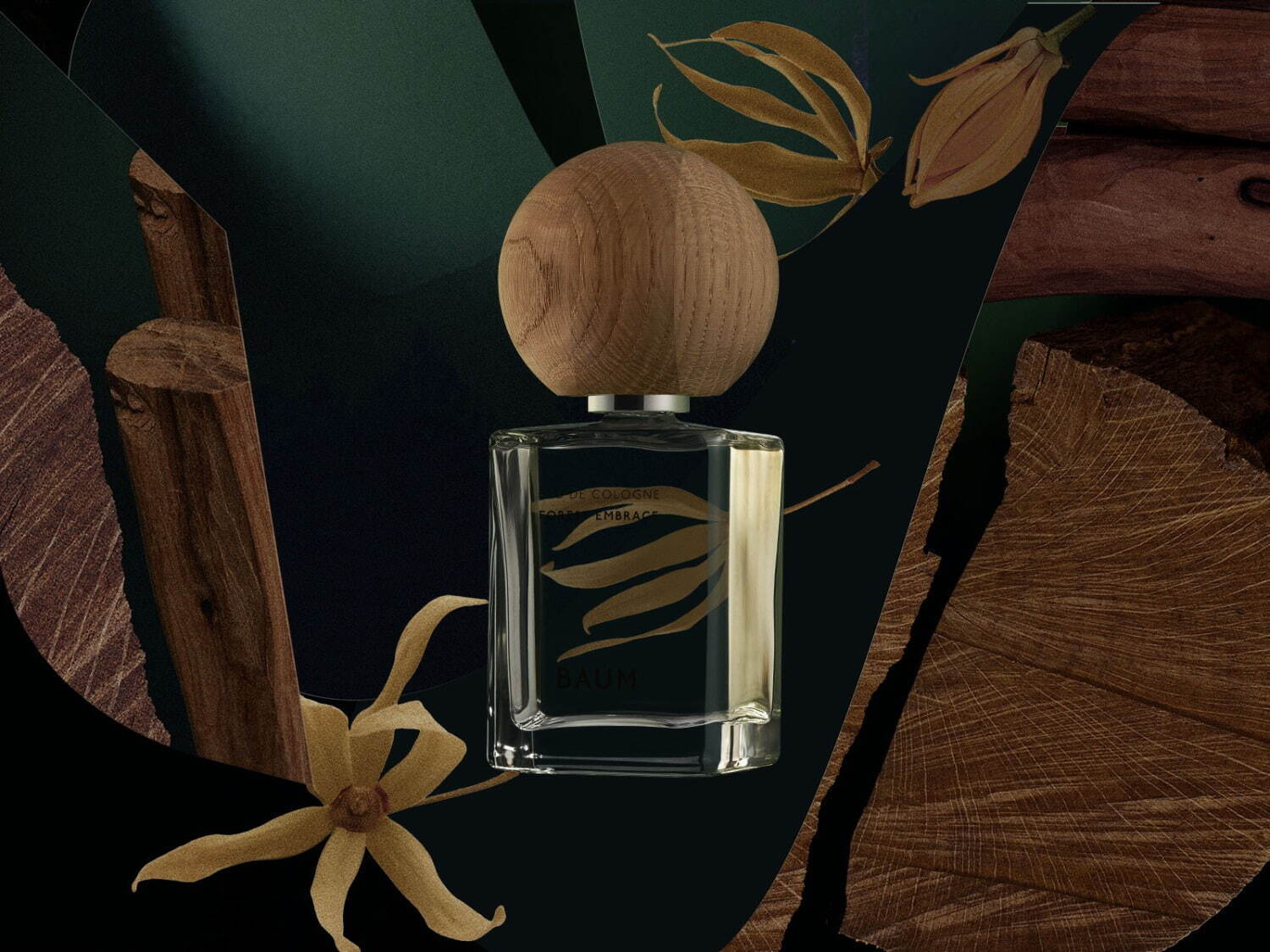 バウムの新作オーデコロン、“静寂の森で瞑想する香り”と“野花咲く天空