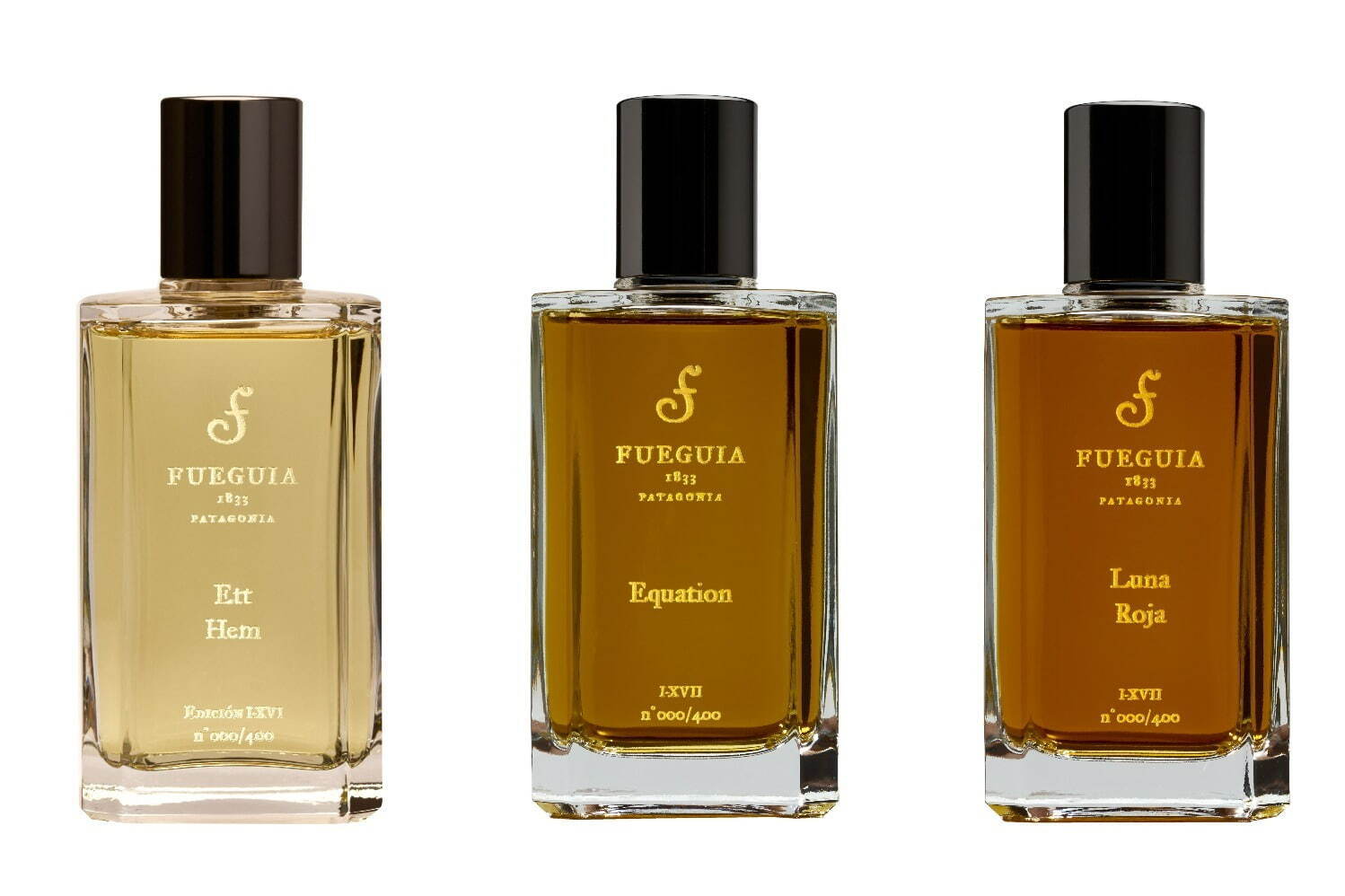 フエギア 1833“宇宙＆赤ワインのグラス越しに見る月”をイメージした冬