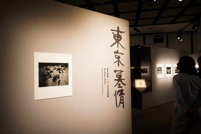 荒木経惟の新作「東京墓情」が日本初公開、シャネル・ネクサス・ホール