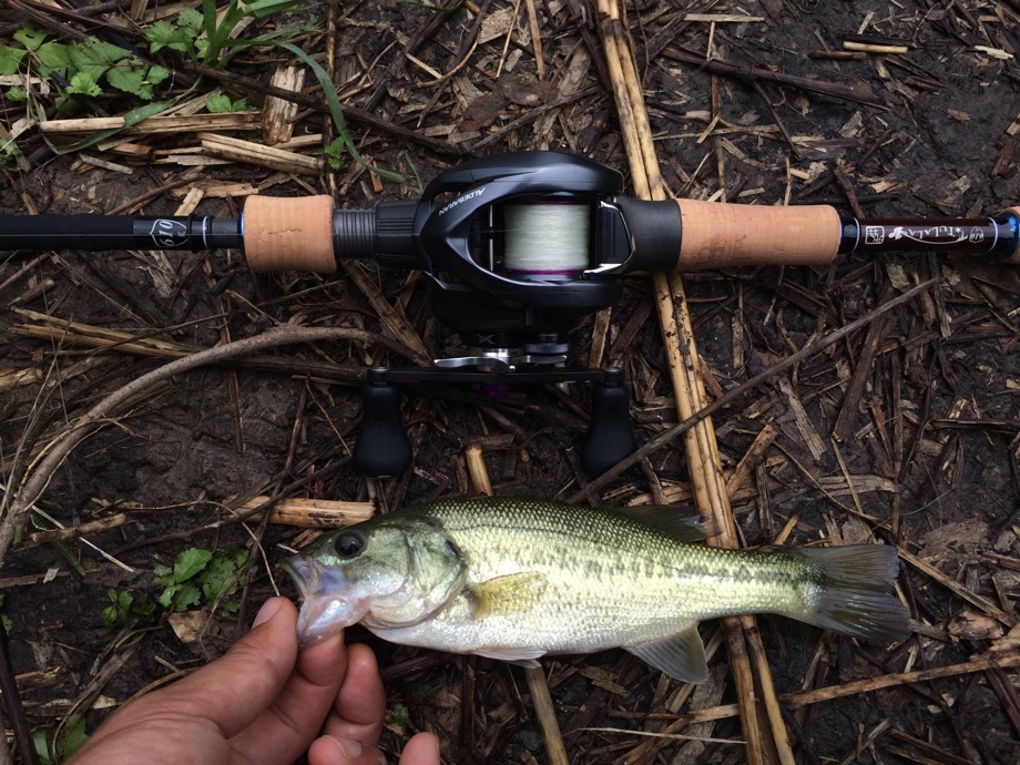 ベイトで陸っぱり】 TULALA Indie610