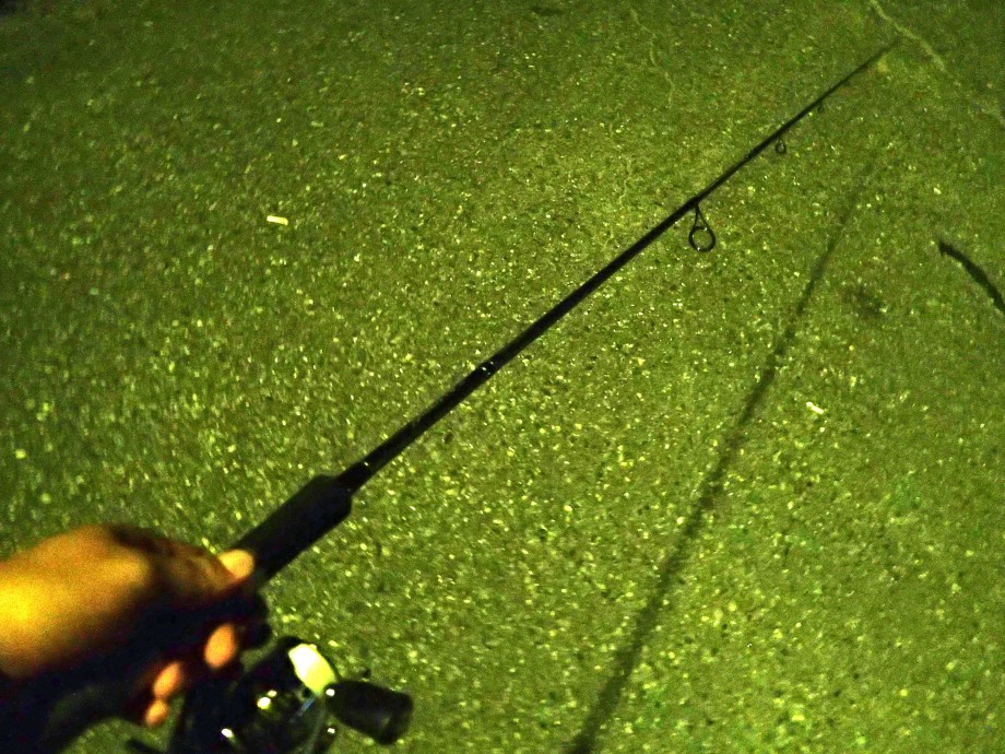 そんだもんなろう】 アルジェントEXの性能