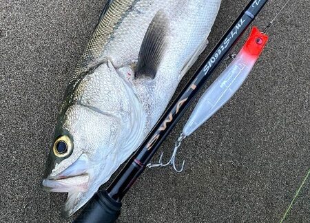 スワットSW932S-LML徹底インプレ:究極のシーバス釣り体験を実現する