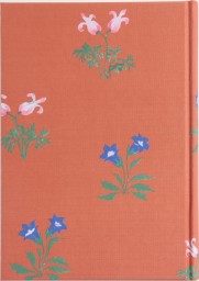 羽仁もと子著作集 第21巻 真理のかがやき（新版） ｜ 婦人之友社 さあ