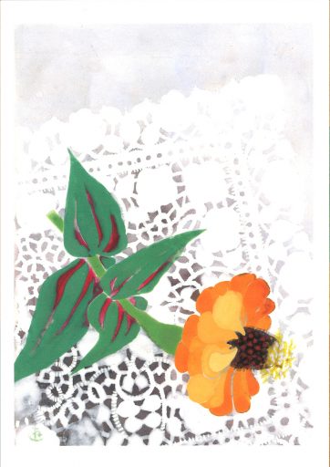 絵はがき 小倉遊亀「百日草」4枚セット ｜ 婦人之友社 さあ、生活を