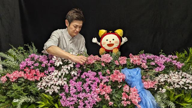 11月7日放送 農林水産大臣賞受賞のさかもと園芸 自然開花シクラメン