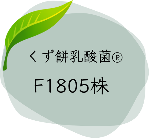 からだにやさしい「福緑」 くず餅乳酸菌入 | 船橋屋