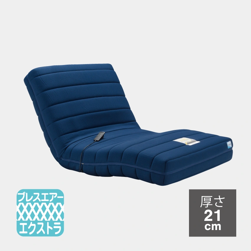 フランスベッド 電動リクライニング マットレス RP-2000 BAE 【公式通販】