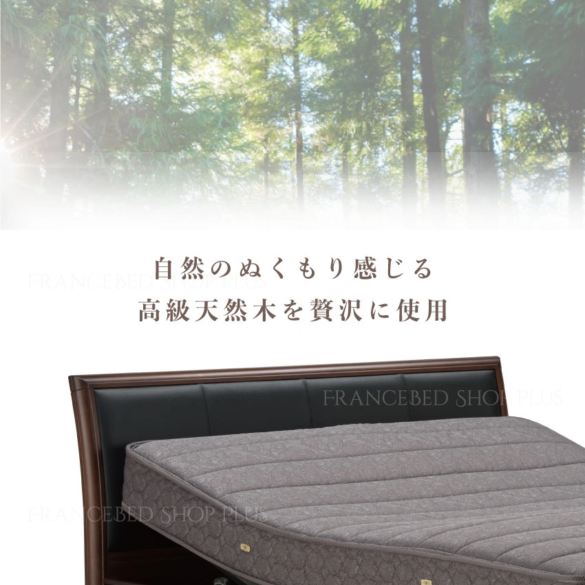 ボステッソ BO-06 + RX-THF｜【公式通販】フランスベッド販売