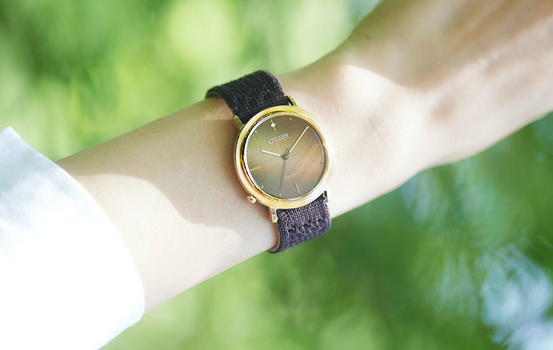 F】 Citizen Ambiluna EM100 — A Sustainable Ladies' Trio