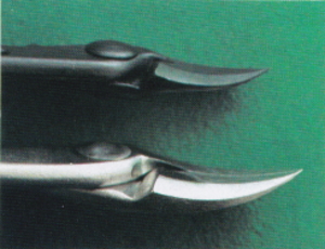 白染反り刃又枝切（小）（昌国）：昌国作盆栽道具 販売通販／FROM