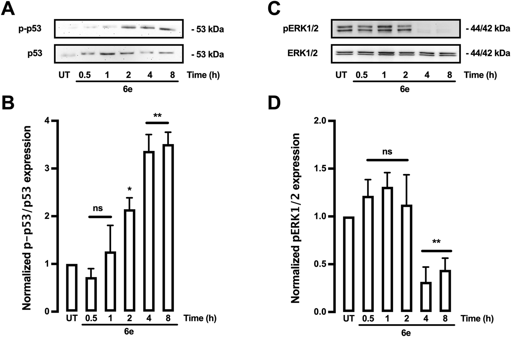 Frontiers | New pyrimidine derivatives as potential agents against
